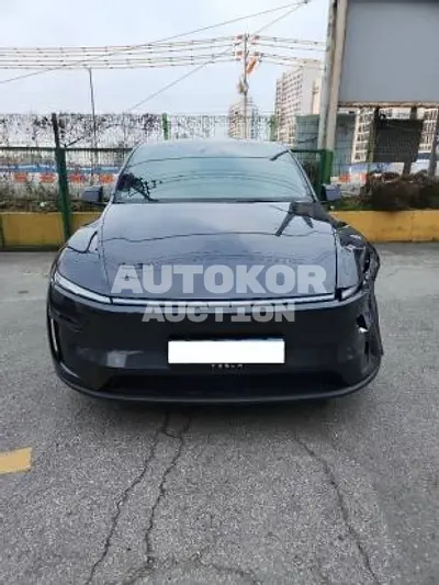 2025, Tesla / Model Y, VIN: LRWYGCFJ3SC313736, 2268 км., electric
