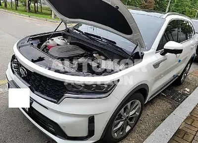 2021, Kia / Sorento, VIN: KNARL81BGMA073670, diesel