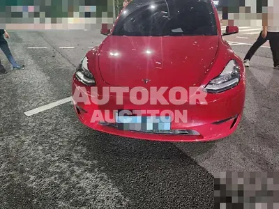 2021, Tesla / Model Y, 19638 км., electric