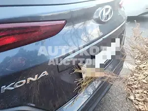 2019, Hyundai / Kona, VIN: KMHK4815GKU356777, 60000 км., gas, 1591 куб.см.