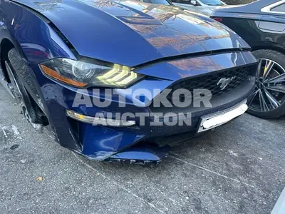 2019, Ford / Mustang, VIN: 1FA6P8TH4K5190712, 24442 км., gas