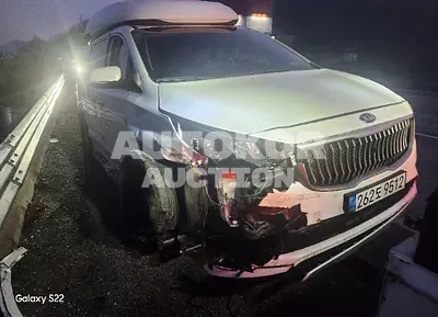 2016, Kia / Carnival, VIN: KNAMC81ABGS178856, diesel