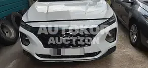 2019, Hyundai / Santa FE, VIN: KMHS281BBKU021110, diesel