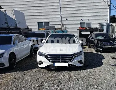 2024, Mercedes-Benz / E 220, VIN: W1KLF0FB3RA029882, hybrid