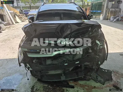 2024, Kia / Sportage, VIN: KNAPY81JBRK315076, lpg, 1999 куб.см.