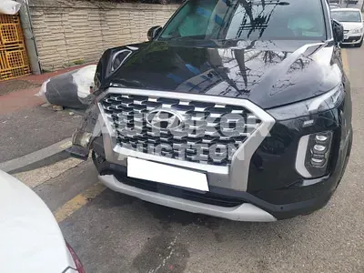 2020, Hyundai / Palisade, VIN: KMHR381EBLU125778, 137862 км., gas