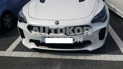 2021, Kia / Stinger, VIN: KNAE351DDMS096862, gas
