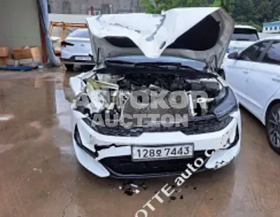 2020, Kia / K5, VIN: KNAG141ABLA032493, gas