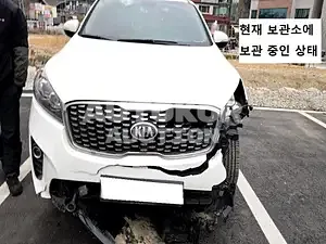 2019, Kia / Sorento, VIN: KNAPG81BDKA540068, diesel