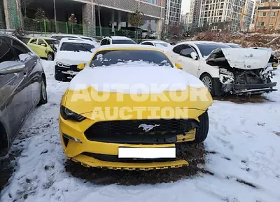 2018, Ford / Mustang, VIN: 1FA6P8TH2J5134847, gas