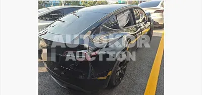 2022, Tesla / Model Y, VIN: 7SAYGDEE9NF499838, 56285 км., electric, 100 куб.см.