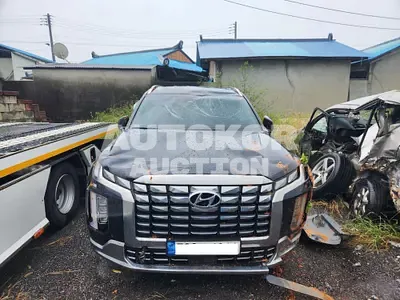 2022, Hyundai / Palisade, VIN: KMHR581ADPU502805, 18348 км., diesel