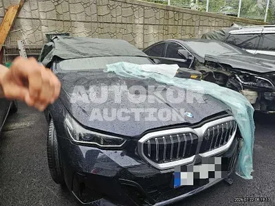 2025, BMW / 530, gas