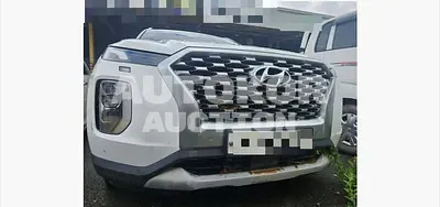 2020, Hyundai / Palisade, 126209 км., diesel, 2199 куб.см.