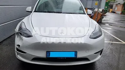 2023, Tesla / Model Y, VIN: 7SAYGDEE9PF641950, electric
