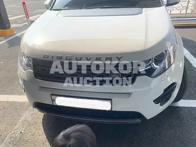 2018, Land Rover / Discovery Sport, VIN: SALCA2BN2JH759971, 43618 км., diesel