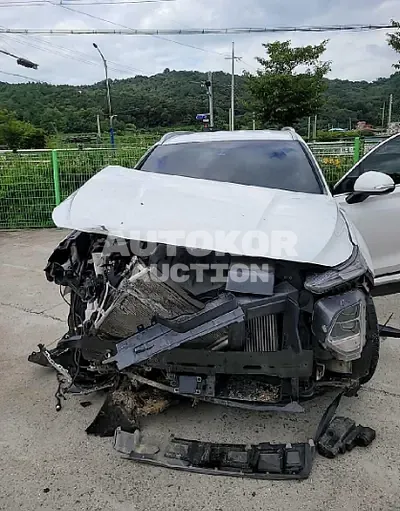 2020, Hyundai / Santa FE, VIN: KMHS381CBLU278566, 58059 км., diesel