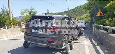 2019, Kia / Sorento, VIN: KNAPS81BDKA507127, diesel, 2199 куб.см.