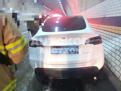 2021, Tesla / Model Y, electric
