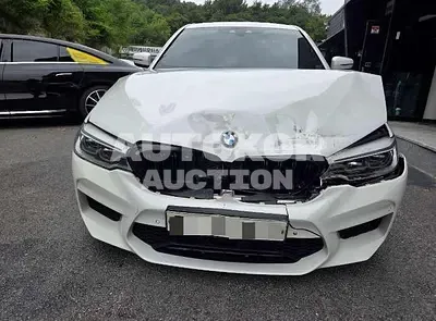 2019, BMW / 530, 107793 км., gas