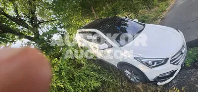2016, Hyundai / Santa FE, VIN: KMHSW81UBGU638113, diesel, 1999 куб.см.