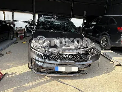2023, Kia / Sorento, 24811 км., gas, 2500 куб.см.