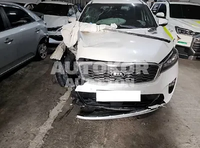 2020, Kia / Sorento, VIN: KNAPS81BBLA570113, diesel