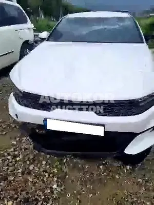 2021, Kia / K5, VIN: KNAG541BBNA157660, lpg