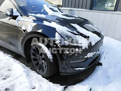 2023, Tesla / Model Y, VIN: 7SAYGDEEXPF641052, electric, 1 куб.см.