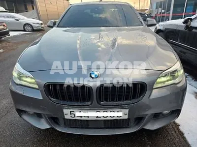 2016, BMW / 520, VIN: WBA5E5101GG201648, 177071 км., diesel