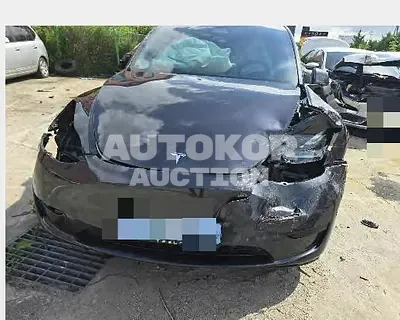 2024, Tesla / Model Y, electric, 173 куб.см.