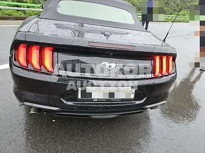2019, Ford / Mustang, 98000 км., gas, 2261 куб.см.
