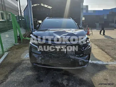 2022, Kia / Sorento, hybrid