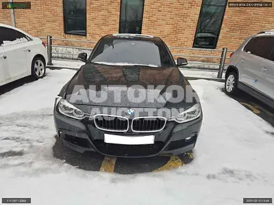 2017, BMW / 320, VIN: WBA8A9100HK883680, gas