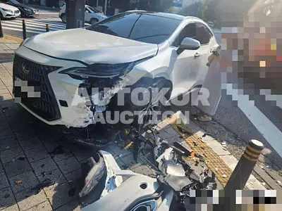 2025, Audi / 50, hybrid