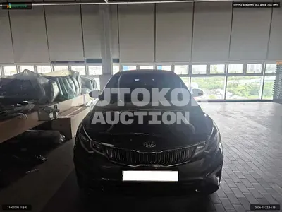 2019, Kia / K5, VIN: KNAGT411BLA393030, 133079 км., gas, 1999 куб.см.