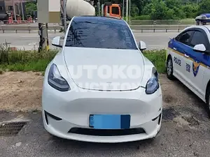 2021, Tesla / Model Y, VIN: 5YJYGDEE9MF284844, 51000 км., electric