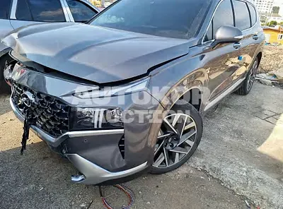 2021, Hyundai / Santa FE, VIN: KMHS581HGMU312114, diesel