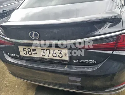 2019, Lexus / ES 300, VIN: JTHB21B10K2023749, gas, 2487 куб.см.
