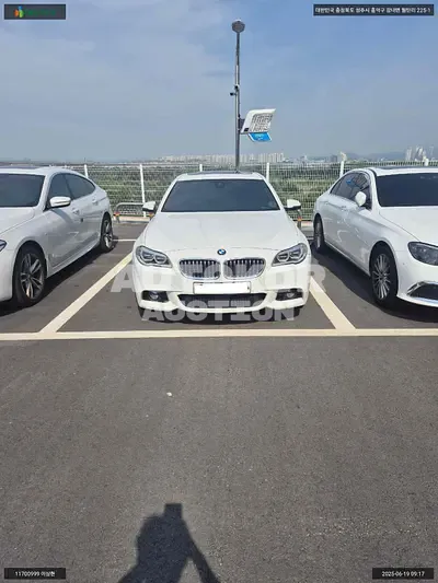 2016, BMW / 528, VIN: WBA5A7109GG298573, 132233 км., gas, 1997 куб.см.