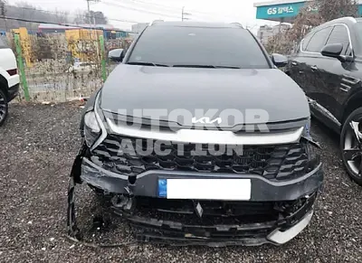 2023, Kia / Sportage, VIN: KNAPV81BGPK126724, 17942 км., gas