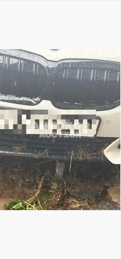 2019, BMW / 320, 100000 км., diesel, 2000 куб.см.