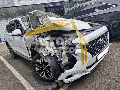 2018, Hyundai / Santa FE, VIN: KMHS381BBKU100140, diesel