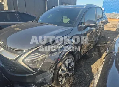 2024, Kia / Sportage, 21560 км., hybrid