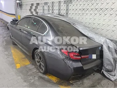 2022, BMW / 530, gas