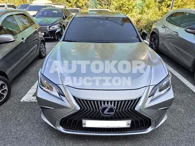 2019, Lexus / ES 300, VIN: JTHB21B11K2028667, 88145 км., hybrid
