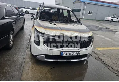 2026, Kia / Carnival, hybrid, 1600 куб.см.