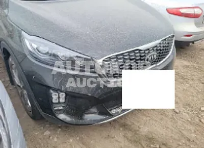 2019, Kia / Sorento, VIN: KNAPK81ADKA509395, diesel