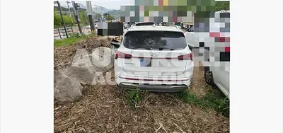 2022, Hyundai / Santa FE, 168396 км., diesel, 2151 куб.см.
