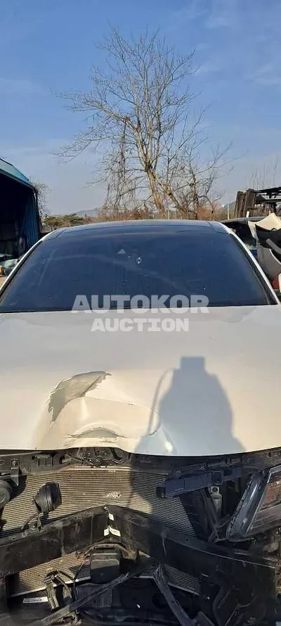 2019, Kia / K5, VIN: KNAGU411BKA264351, gas